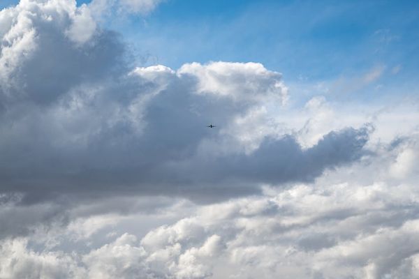 מומחה להובלות באנגלית – חוויה אינטרנציונלית