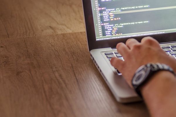 מומחה בניית אתרים לחברת הובלות - סטלות של כישורים טכנולוגיים