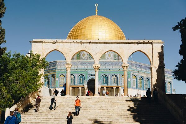 מומחה בתחום ההובלות בישראל